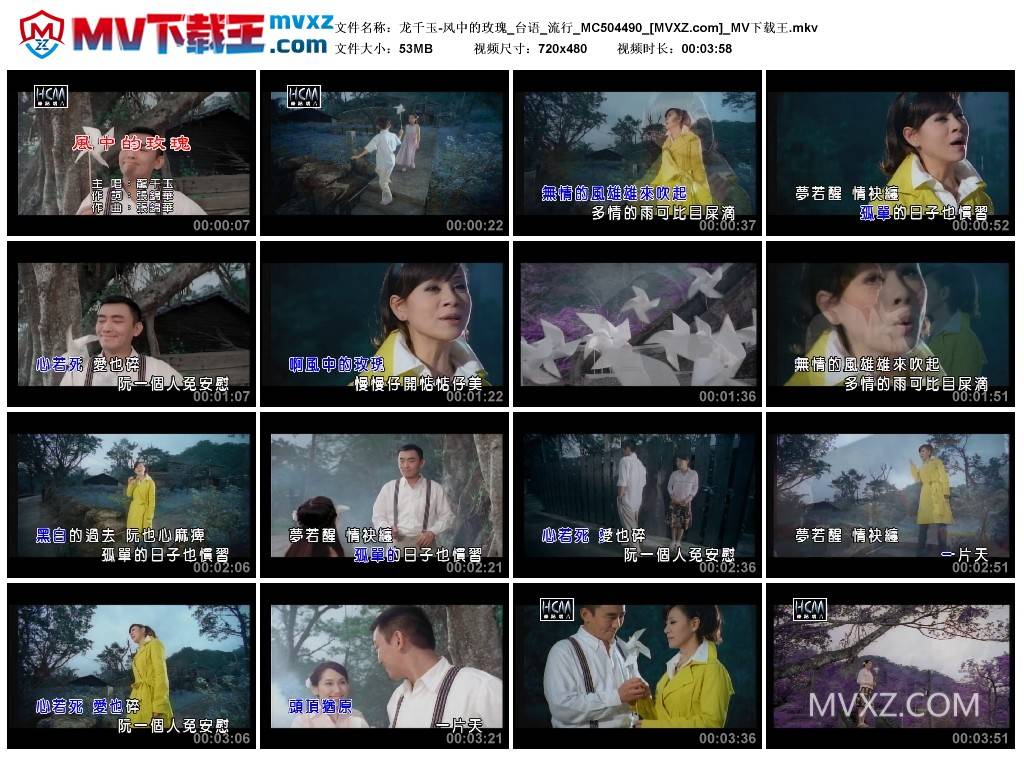 龙千玉-风中的玫瑰_台语_流行_MC504490